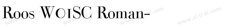 Roos W01SC Roman字体转换